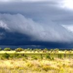 Queensland Water Minister to revisit Lower Burdekin in New Year for groundwater issues | North Queensland Register