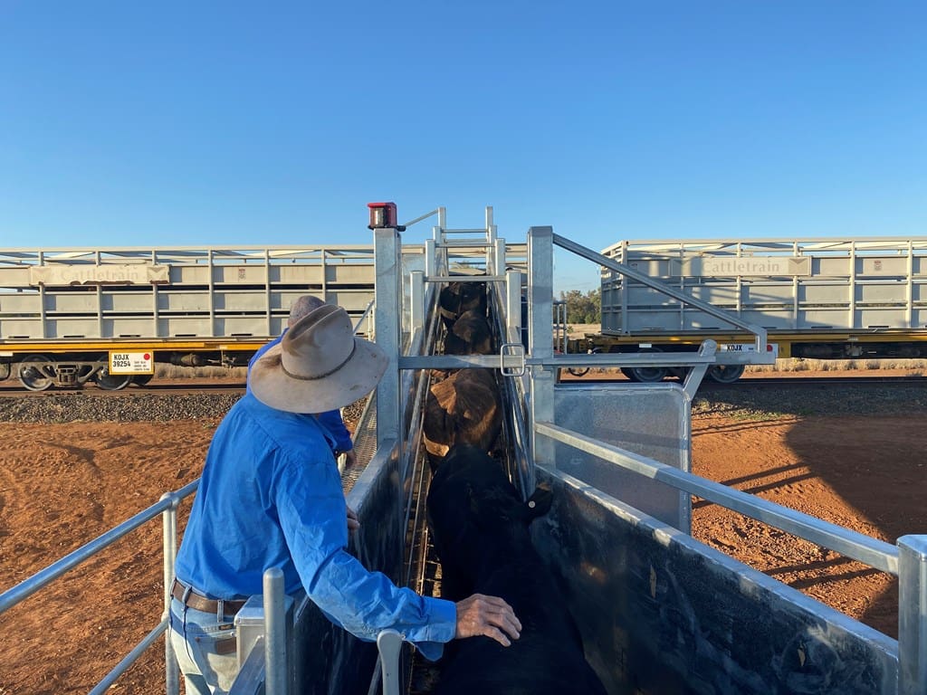 Investment boost for cattle rail yards in NW Qld