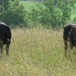 An amazing opportunity to go off grid in the middle of the Northumbrian countryside