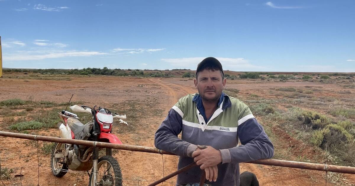 Mixed rainfall results for Broken Hill and the far west | The Land