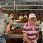 The 'extras' southern weaner buyers are chasing