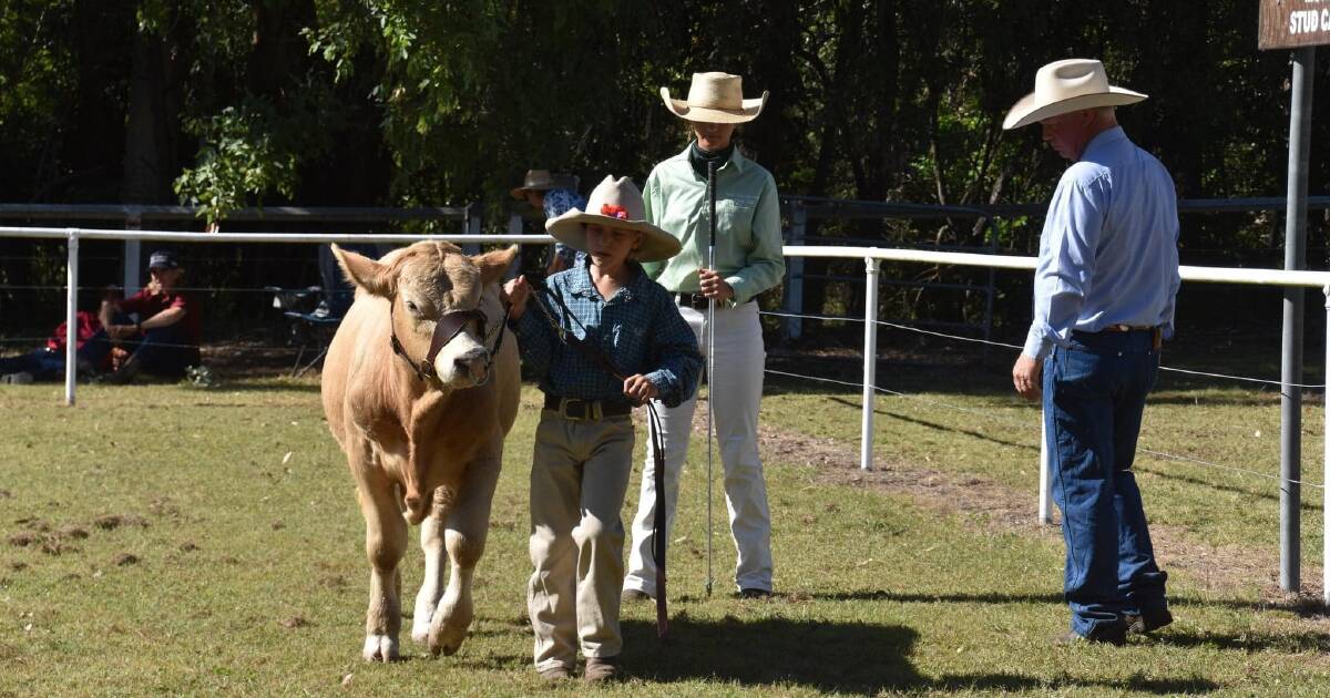 North Burnett showground transfer sparks concern