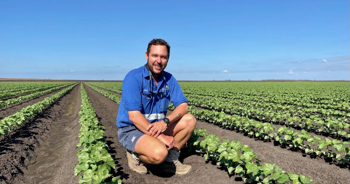 Why Alexander ‘Zanda’ Stephens loves cotton farming | Queensland Country Life