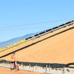 Hundreds of barramundi released into the Hinchinbrook Channel