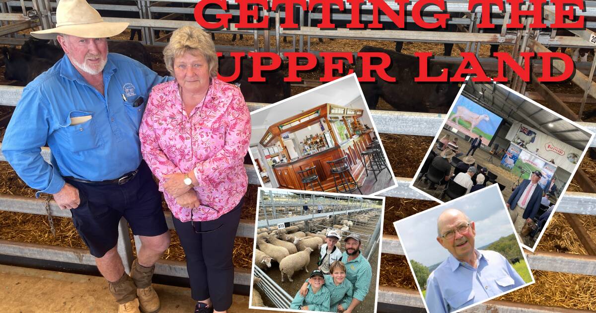 Studs, sales, pubs and an industry leader remembered; Getting the Upper Land episode 25 | The Land