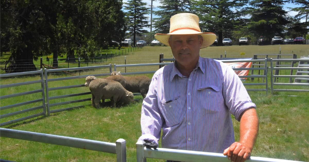 NSW flock ewe competition entrants to access DNA sampling | The Land