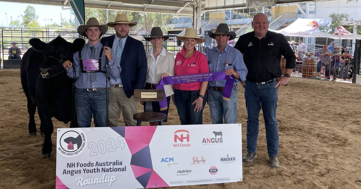 Angus breed royalty claims supreme exhibit award at Youth Roundup