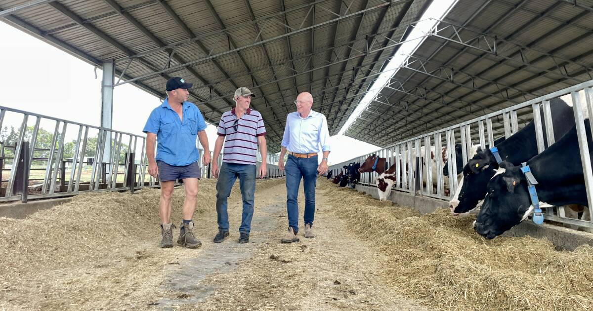 Insights from a Netherlands dairy farmer