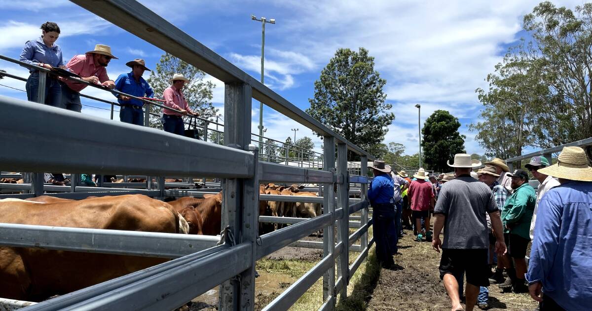 Beaudesert sale as hot as the weather