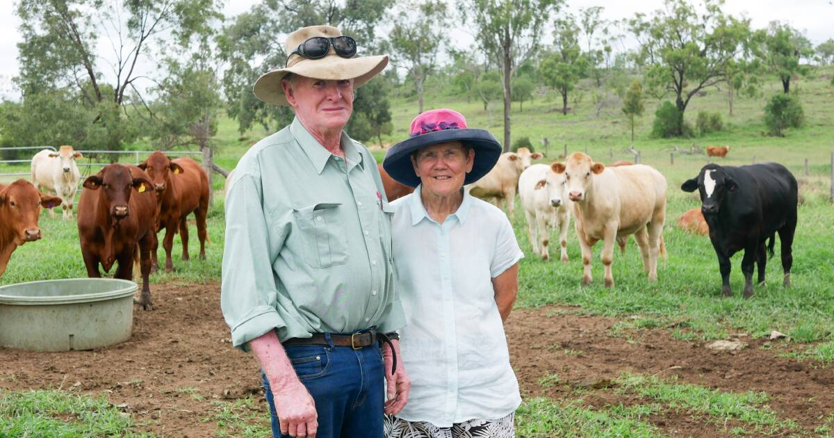 The ex stud principal who refuses to retire from farming