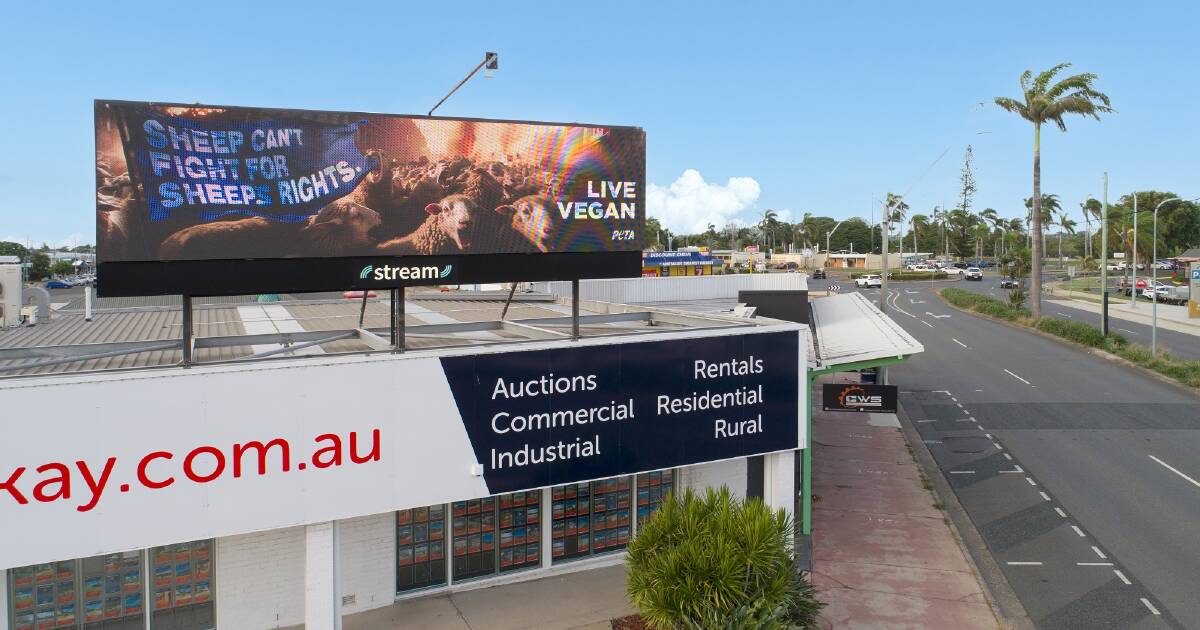 PETA’s billboard protests Australia Day lamb consumption | Queensland Country Life