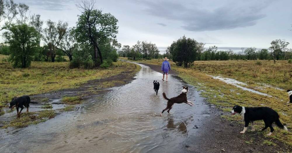 Rain reprieve for CQ graziers, major highway closed due to flooding