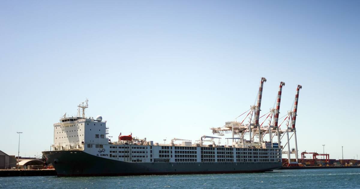 Live export vessel in limbo off WA coast