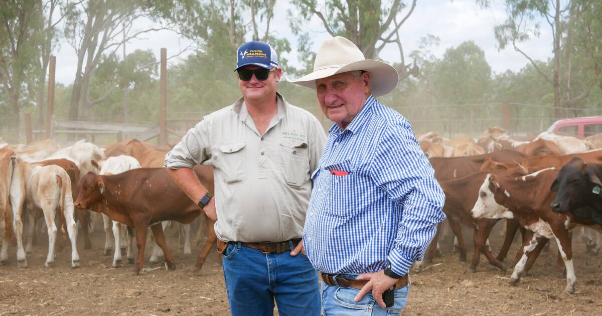 How the Whitemans have reinvented their beef breeding operation