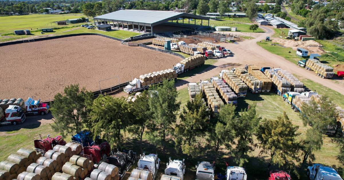 Aussie Hay Runners load up for another run on the back of a big fortnight