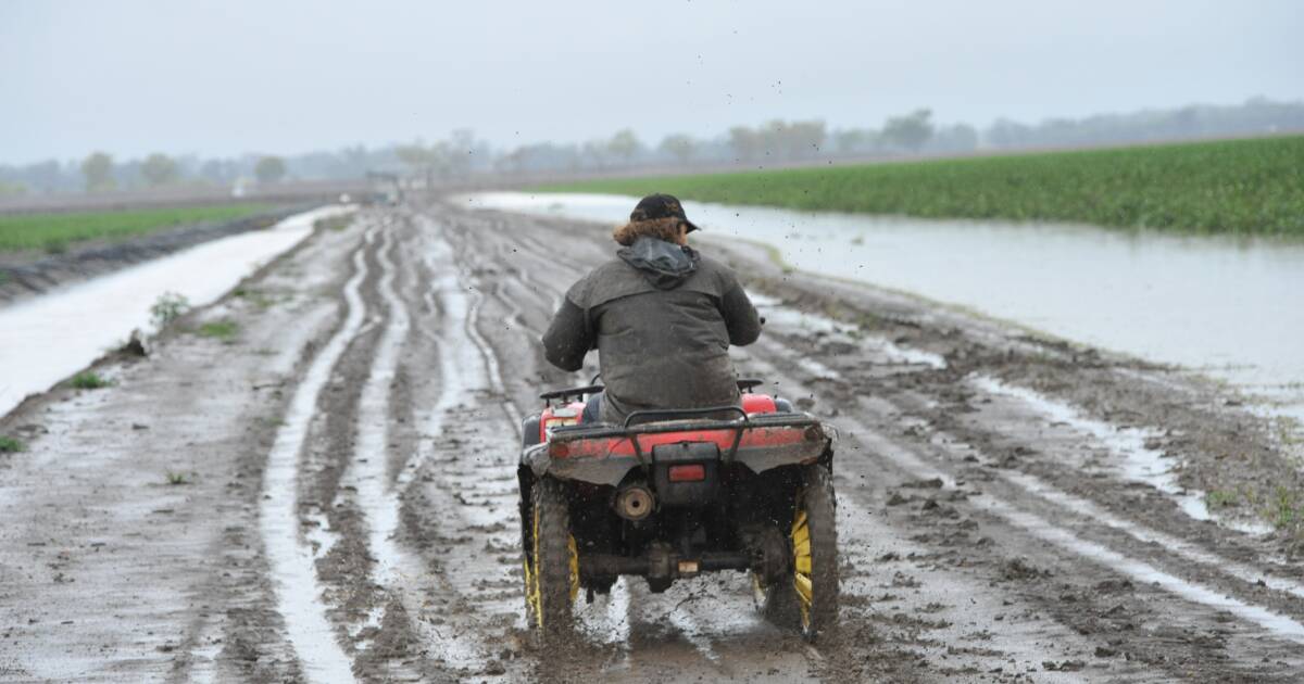 Wet start to year adds optimism to cropping programs