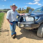 Dalby sale 10 Jan: Rain response in opening young cattle prices