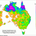 Weekly kill: Cyclone impact threatens processing operations across QLD