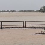 Qld grazier stars in 2024 Australia Day Awards