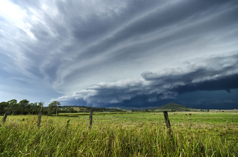 Did BOM’s El Nino forecast bomb the 2023 cattle market?