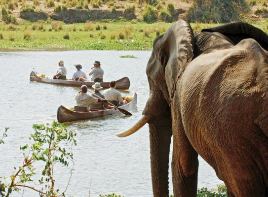 The call of the wild, from gliding past hippos on a mokoro to riding alongside cheetahs and giraffes