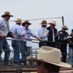 Rocky's newest young gun livestock agents forge dream careers