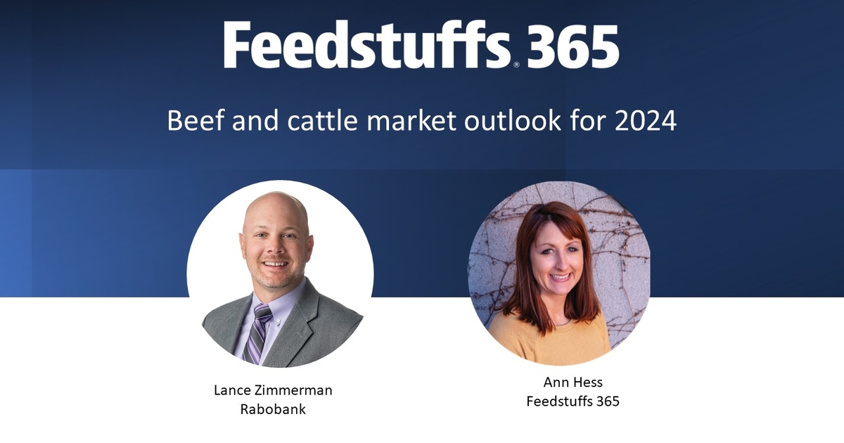 Beef and cattle market outlook for 2024