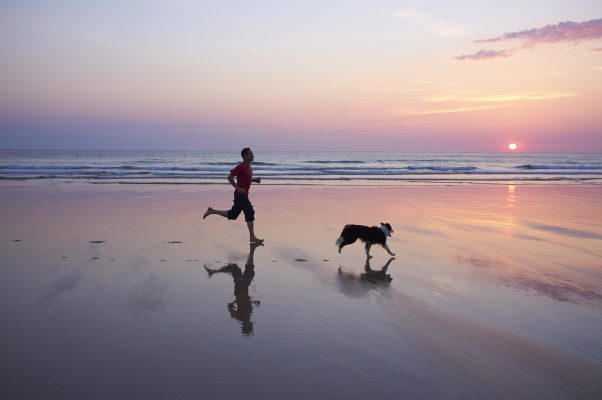 How to exercise with your dog, by expert trainer Ben Randall