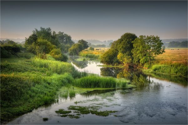 83% of England’s rivers show ‘high pollution’ levels as sewage and agricultural waste flow into the waterways