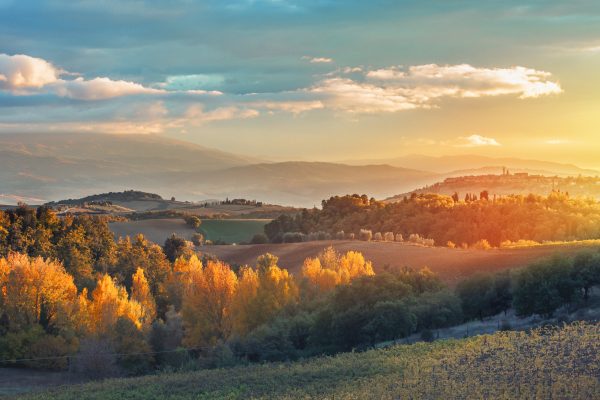 In the land of olive and vine: Why spring and autumn in Tuscany beats summer everytime