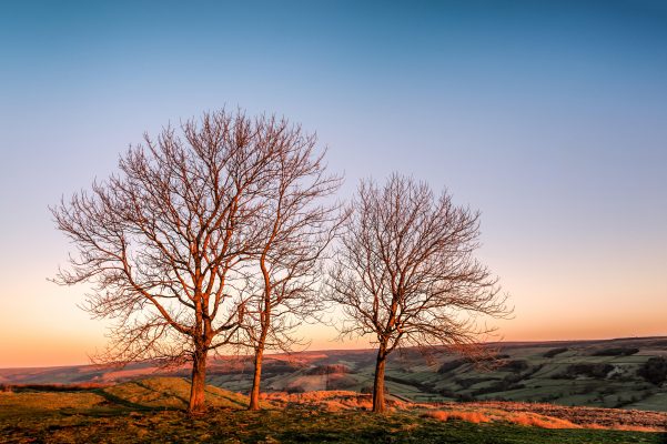 John Lewis-Stempel: On top of the mirey, merey moor, in the heart of James Herriot Country