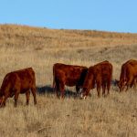 Blazing summers, short winters and 15 years of erosion in a day