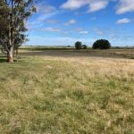 Severe weather warning for Beacon, Dalwallinu and Wongan Hills