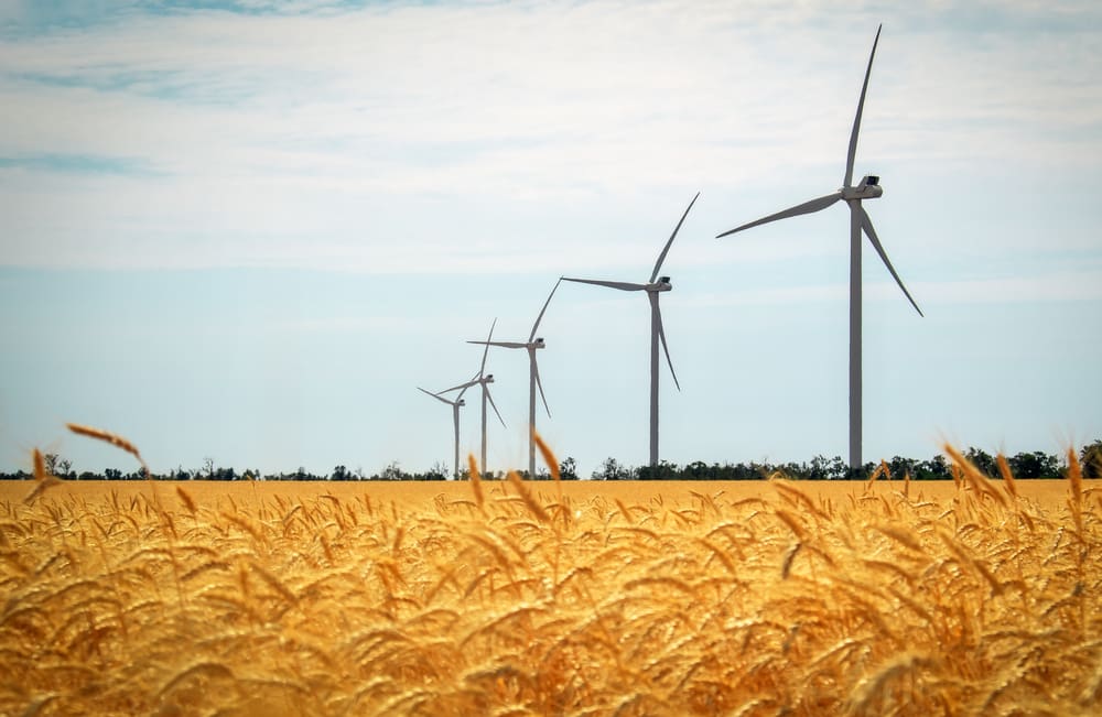 Farming groups calling for Govt to release renewable energy review