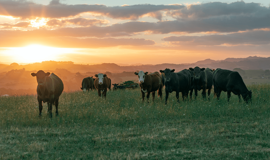 Government farm lender RIC lifts variable interest rates