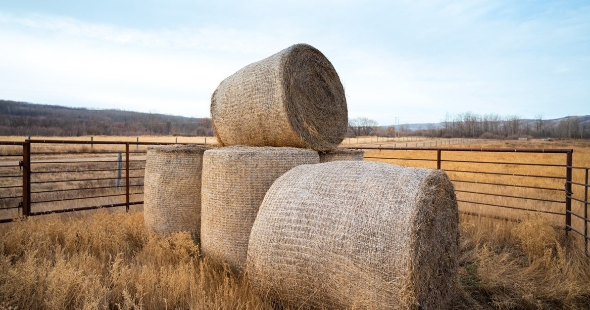 CNH invests in ecofriendly bale storage innovator Nature’s Net Wrap