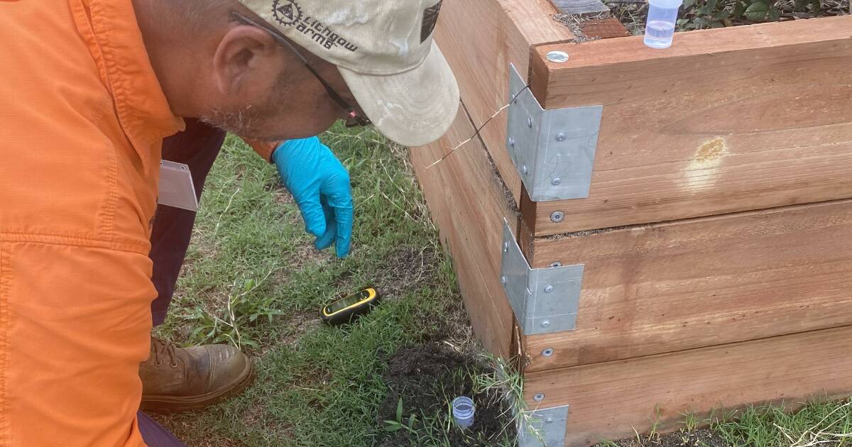 Blame game begins over fire ant outbreak near Ballina | The Land