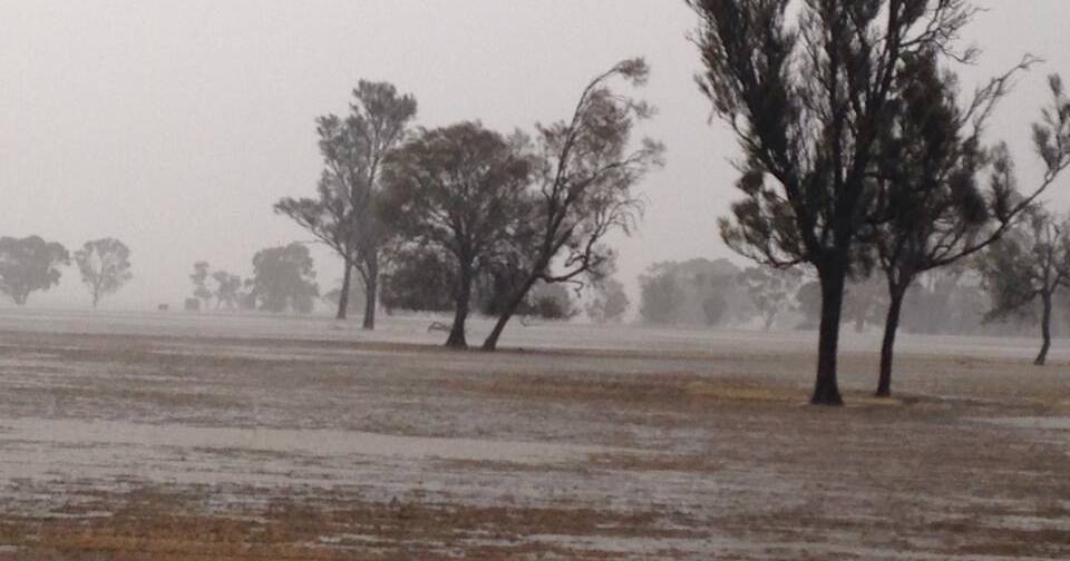 Power Outages in Regional WA: Widespread Damage and Water Supply Concerns | Farm Weekly