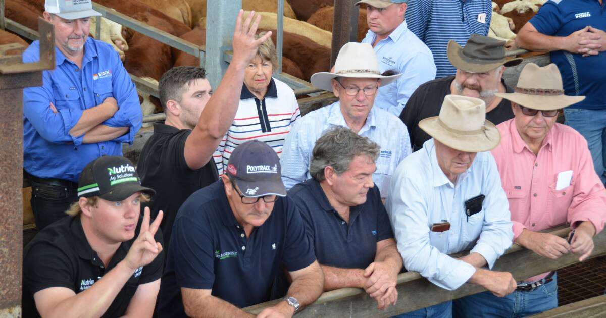 Top 10 western district weaner cattle buyers for January 2024 | The Land