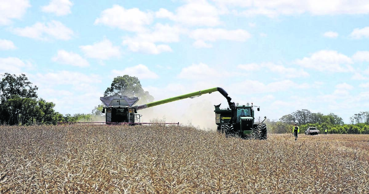 Frankland River locals find community cropping pays off