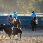 The lack of Isoproturon hurts wheat farmers