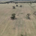 Retired farmers keep Biloela's Greycliffe homestead alive