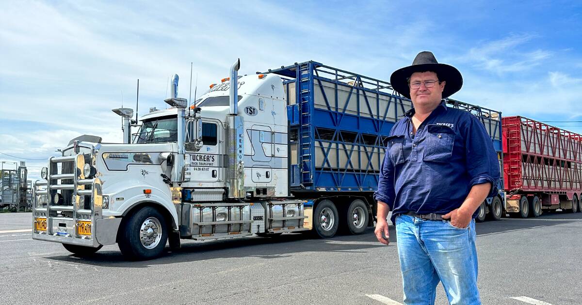 Cartage costs 'overload' regional stock producers and transport owners