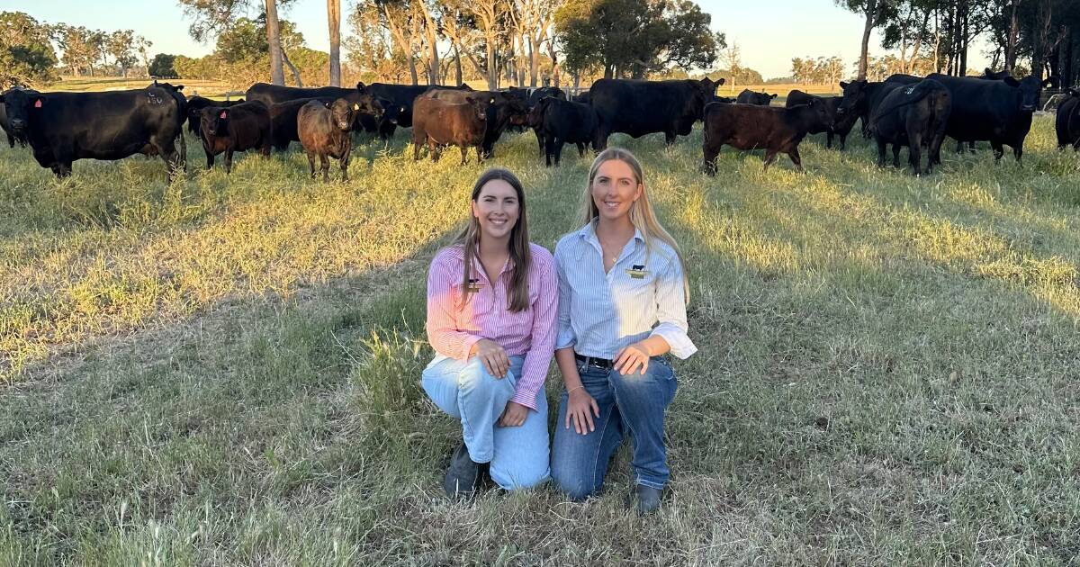 Passionate Sisters Carrying on Legacy of Mordallup Angus Stud | Farm Weekly