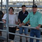 Government criticized over power outages in WA farming communities | Farm Weekly