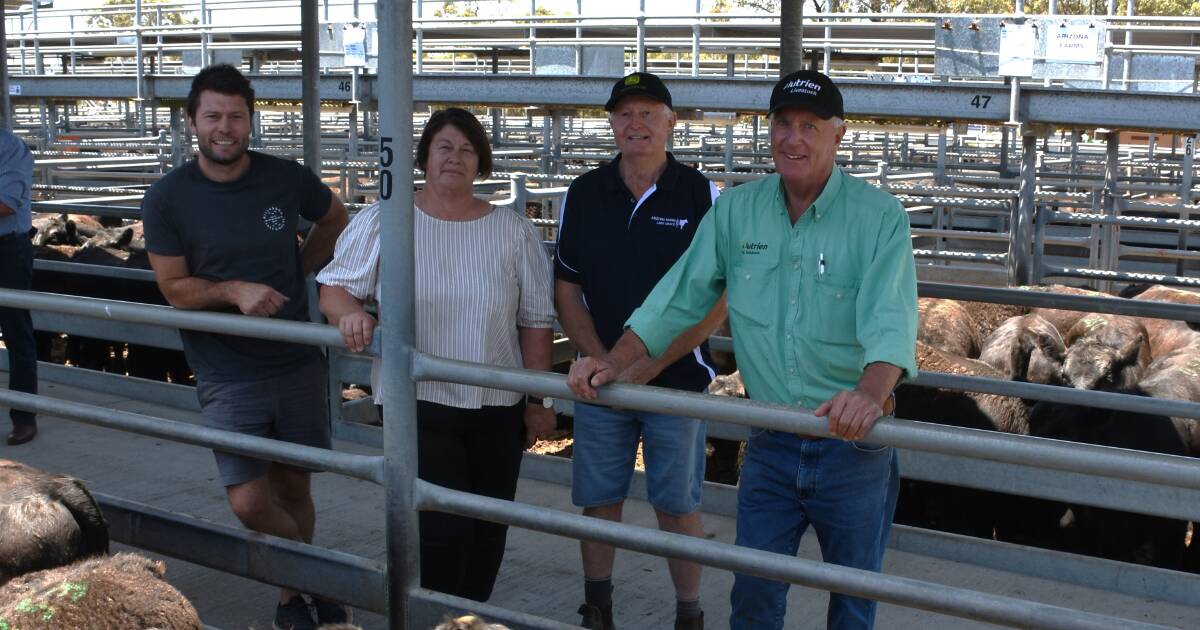 Beef steers top $1172 at Nutrien Mt Barker angus weaner sale | Farm Weekly