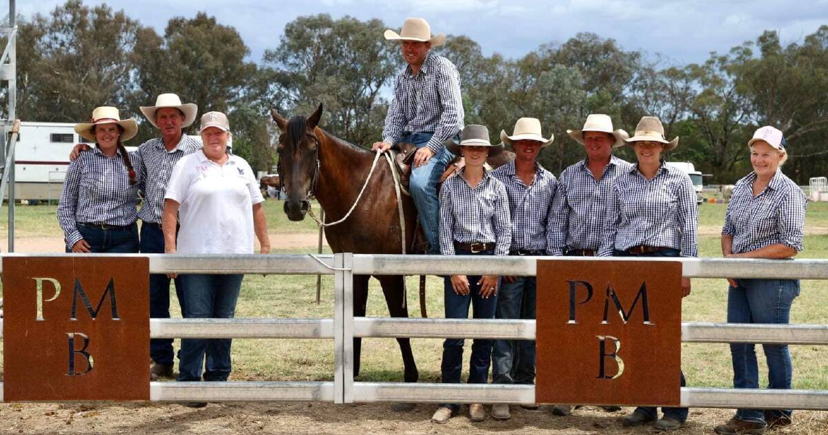 Berragoon Stock Horse stud’s annual sale celebrates 50 years of breeding | The Land