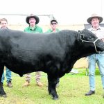 How does a Burraga boy find himself in Scotland? Through shear hard work