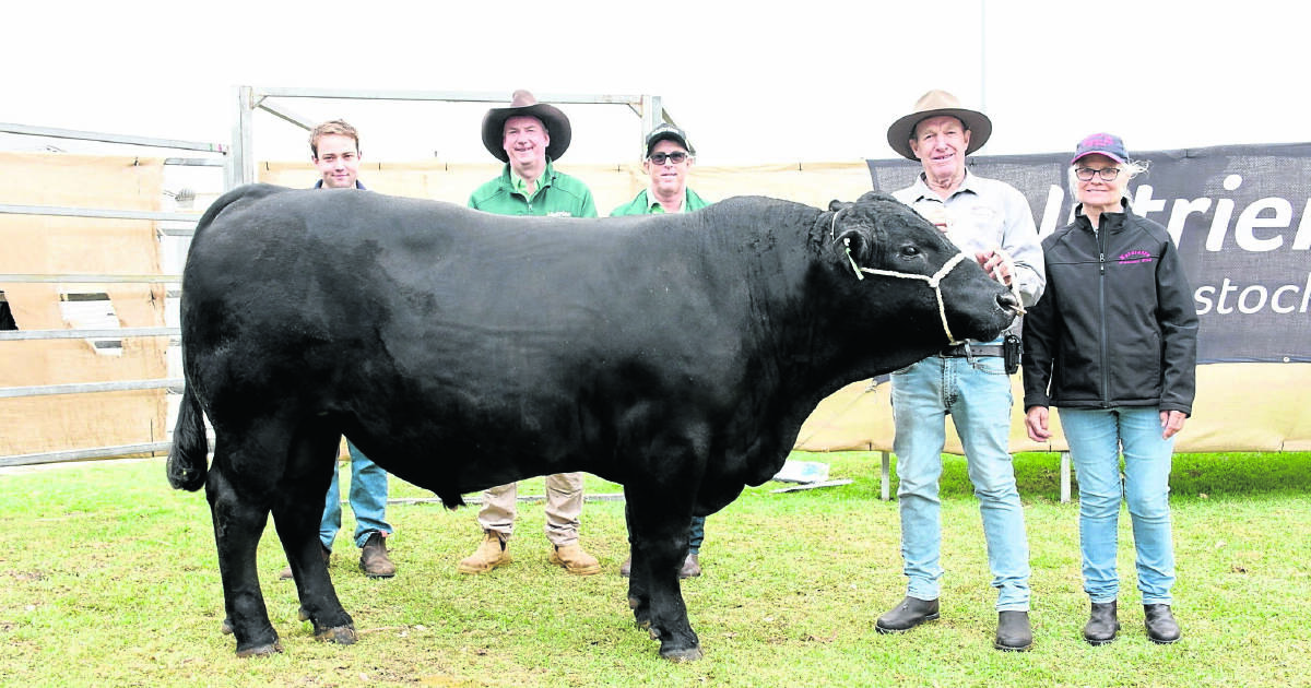 Naracoopa Trusty tops the buying demand at Great Southern bull sale.