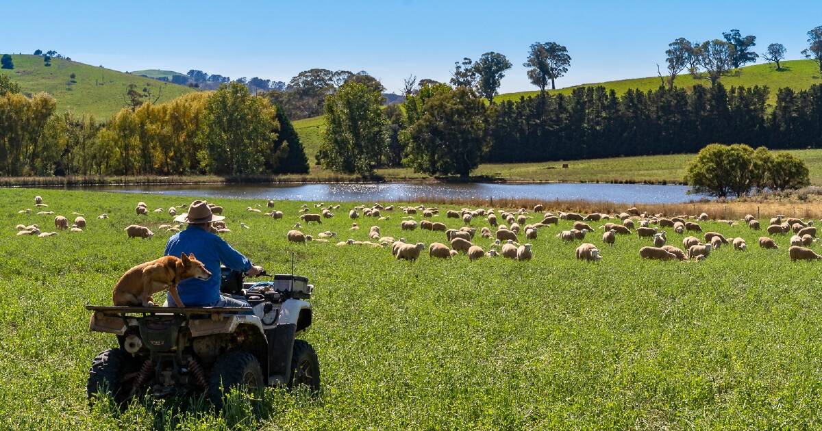 Taxing times for farmers as rural land prices spike